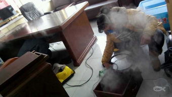 厦门室内空气治理新风尚 美国科技打造“效果杠杠的”无醛空间